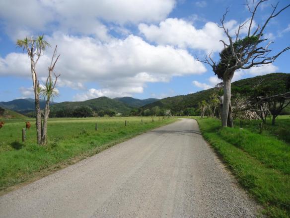 Road to Waikawau Bay - some flat running at last!