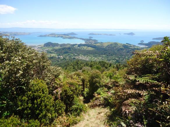 From near the top of the old Success mining trail, looking down on Coromandel Township